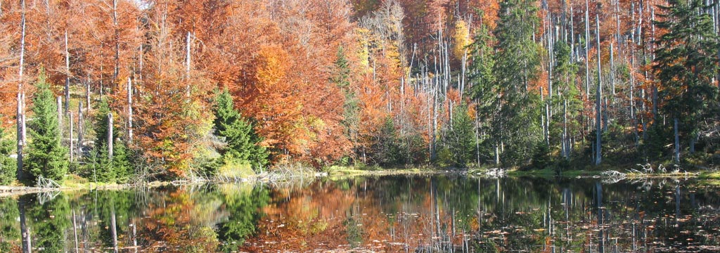 Wandern nach Böhmen